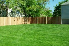 Solid Cedar Board Fence