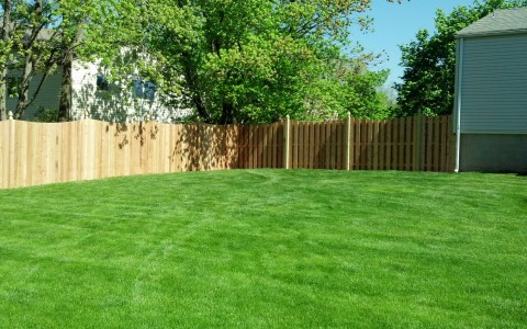 Solid Cedar Board Fence